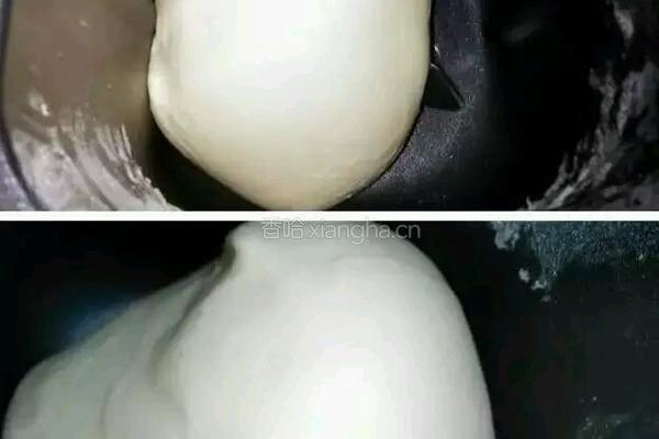 奶香小面包的做法图解4