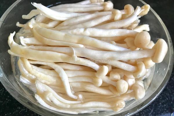 肉末鲜茶树菇的做法图解5