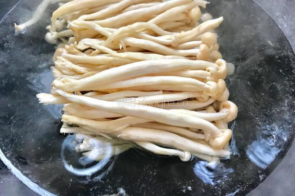 肉末鲜茶树菇的做法图解6