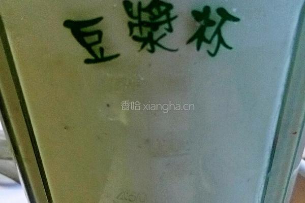 火麻仁黄豆浆浆饭的做法图解3