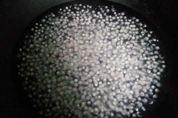 燕麦西米牛奶的做法图解2