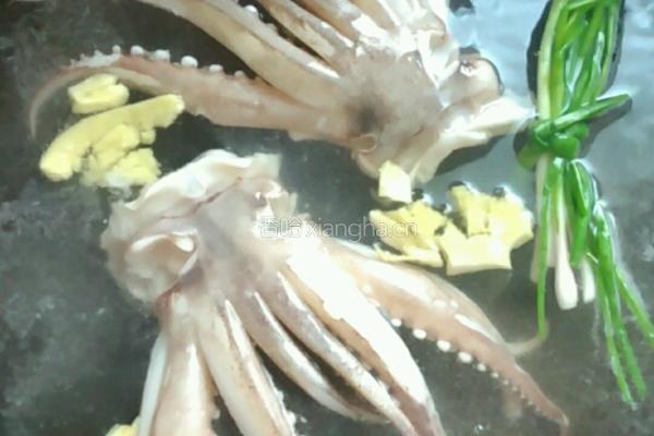 白灼大鱿鱼的做法图解3