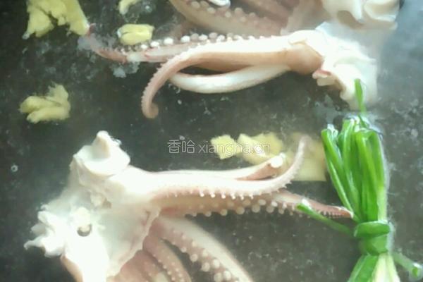 白灼大鱿鱼的做法图解4