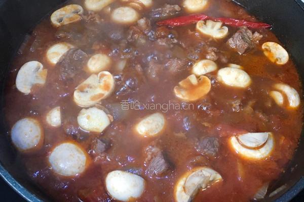 红酒烩牛肉的做法图解12