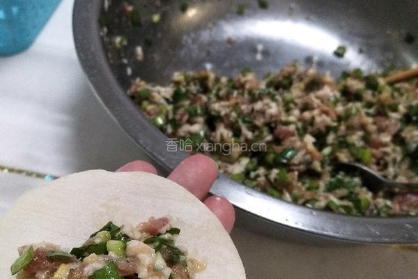 韭菜猪肉饺的做法图解4