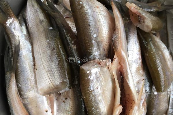 咸鱼干的做法图解1