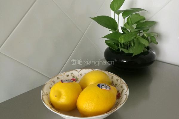 自制柠檬蜂蜜酵素的做法图解2