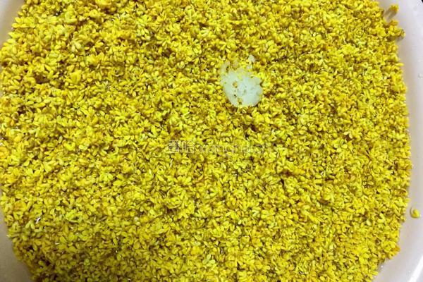 糖桂花的做法图解4