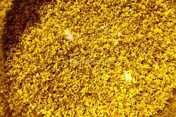 糖桂花的做法图解5