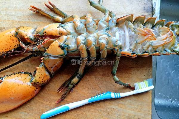 龙虾意面的做法图解6