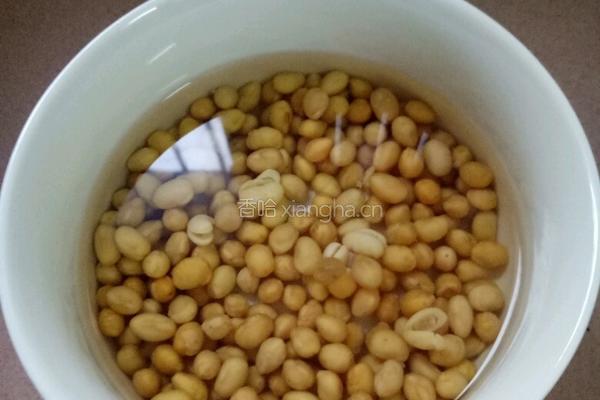 黄豆豆浆的做法图解1