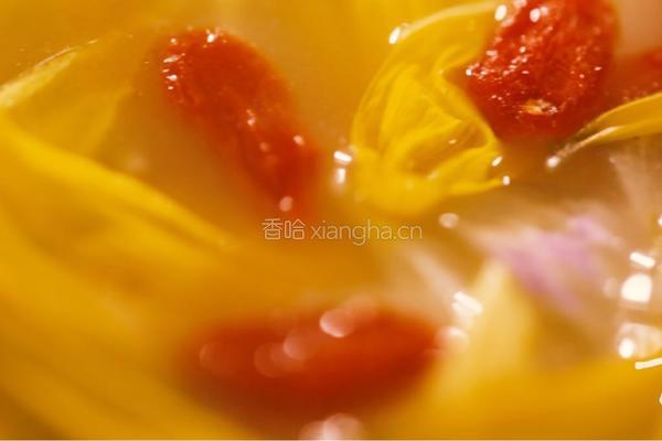 【清·菊花火锅】慈禧太后的得意之作，冬季养生食疗的做法图解4
