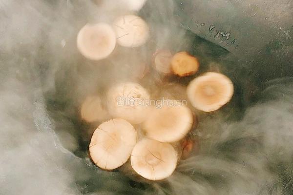 三珍汇的做法图解6