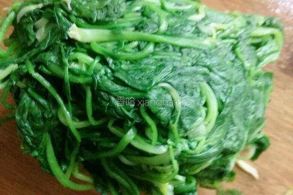 猫耳朵水饺的做法图解6
