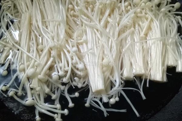 白灼金针菇的做法图解3