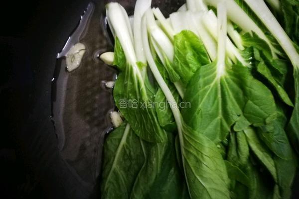 清炒小白菜的做法图解2