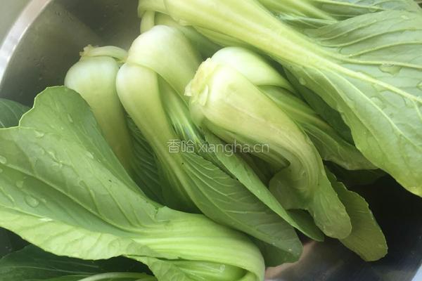 皇家香菇油菜的做法图解2