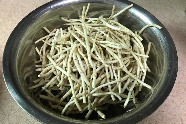 鱼腥草老鸭汤的做法图解6