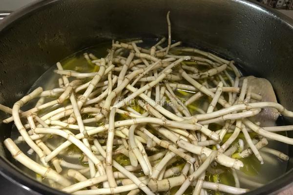 鱼腥草老鸭汤的做法图解7