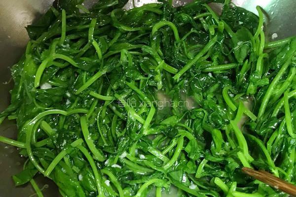 蒜蓉豌豆尖的做法图解5