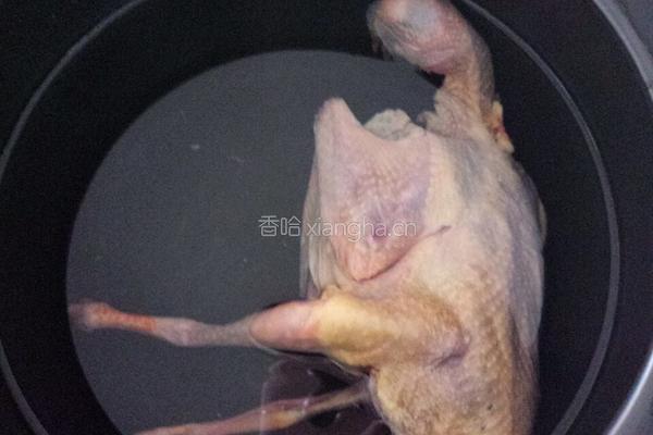 虫草枸杞鸽子汤的做法图解2