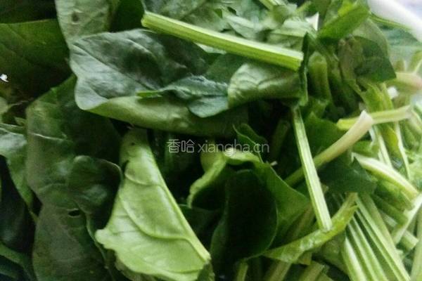 素炒菠菜的做法图解1