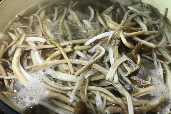 茶树菇炖排骨的做法图解7