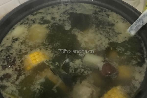 海带玉米排骨汤的做法图解13