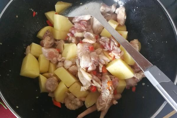 土豆焖鸡的做法图解5
