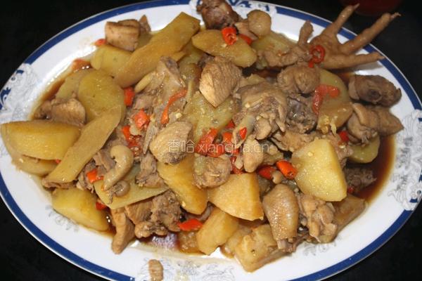 土豆焖鸡的做法图解8