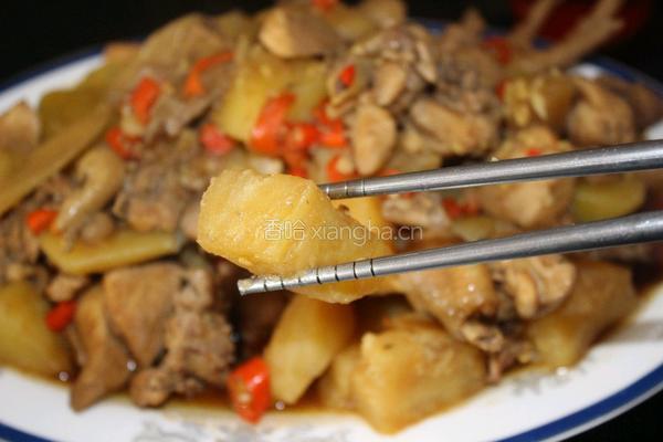 土豆焖鸡的做法图解9