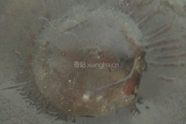家常炒面的做法图解9