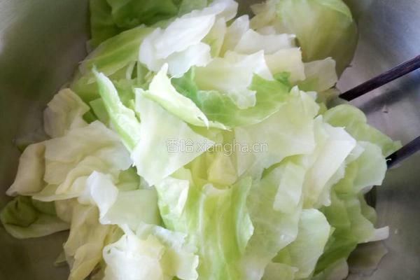 快手圆白菜的做法图解3