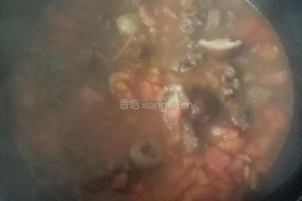 西红柿口蘑炖牛腩的做法图解13
