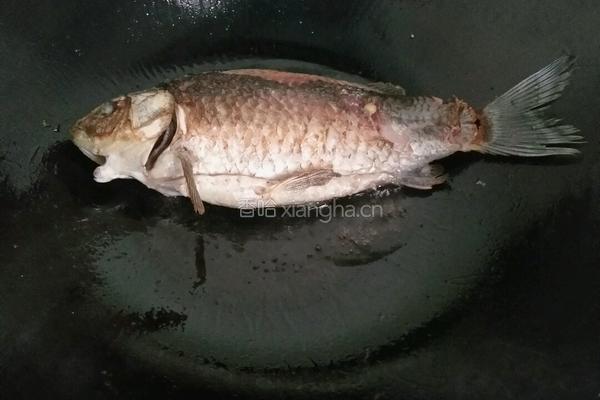 鲫鱼豆腐汤的做法图解3