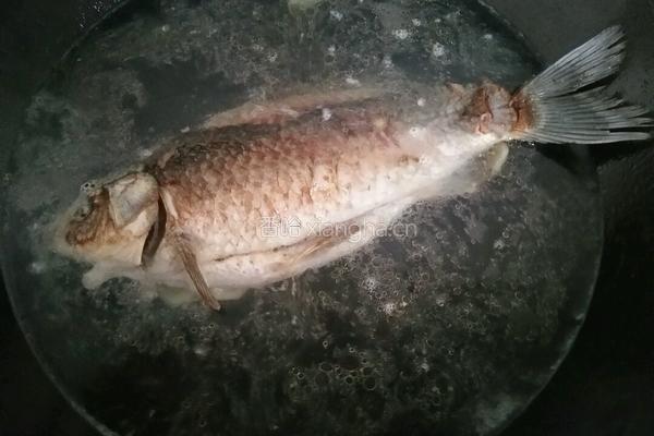 鲫鱼豆腐汤的做法图解4