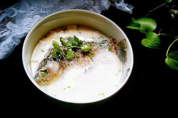 鲫鱼豆腐汤的做法图解11