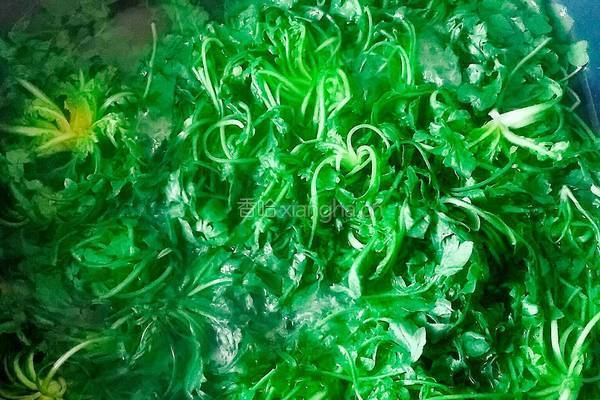荠菜豆腐馅的做法图解2
