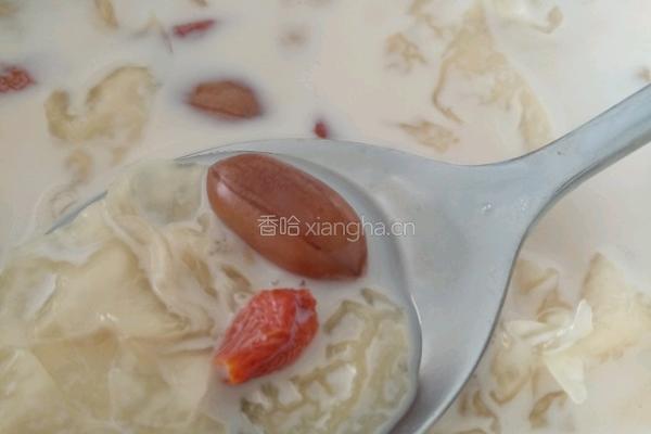 银耳花生牛奶汤的做法图解3