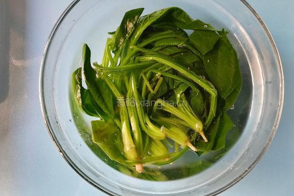 补铁食谱菠菜煎饼的做法图解4