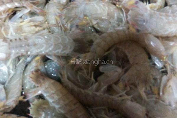 醉皮皮虾的做法图解1