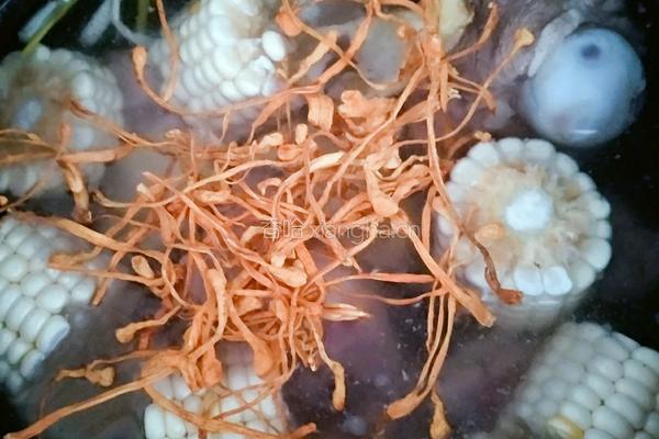虫草玉米猪骨汤的做法图解4