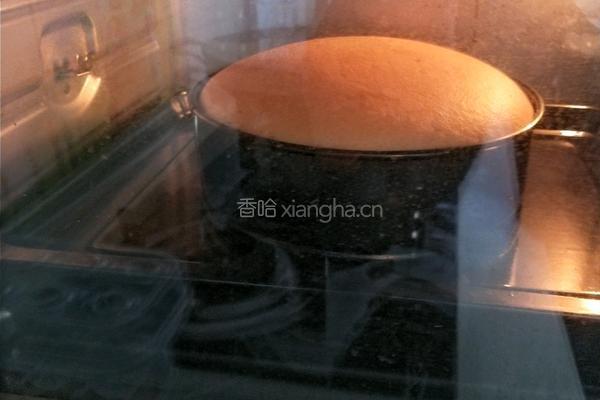 香橙海绵蛋糕的做法图解13