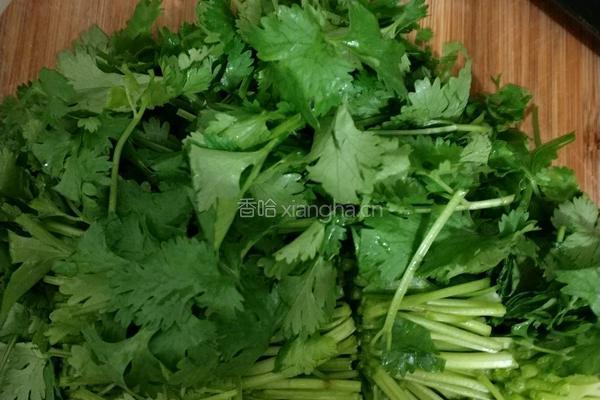 香菜肉丝的做法图解3