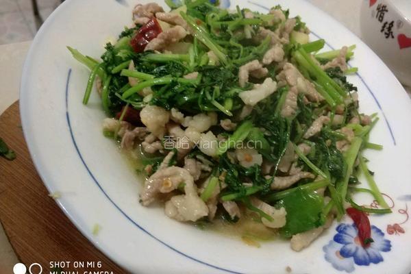 香菜肉丝的做法图解9