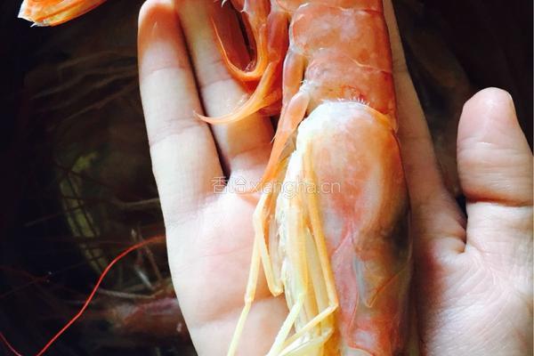 茄汁阿根廷大虾的做法图解1