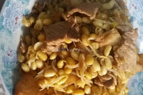 猪肉炒黄豆芽