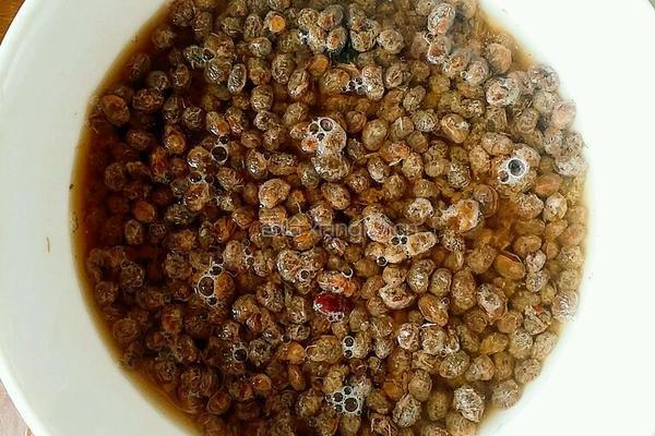 蒜苗炒豆豉的做法图解2