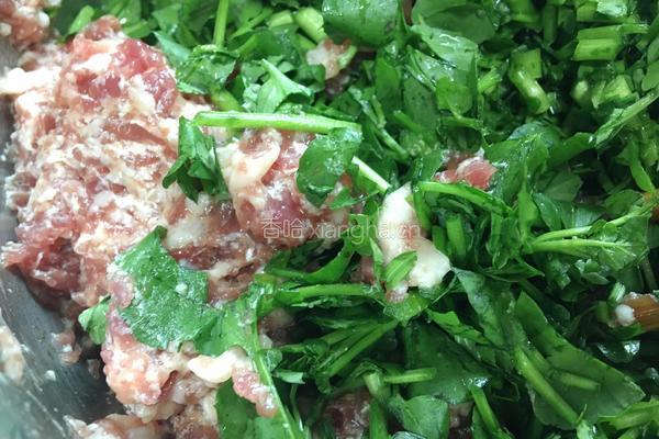 西洋菜猪肉饺的做法图解5