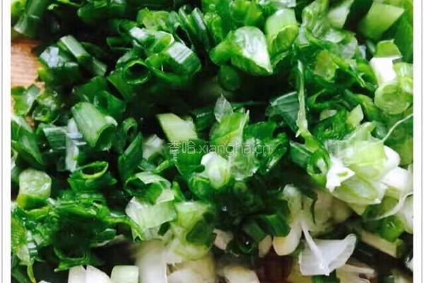 芹菜莲藕馅饺子的做法图解4